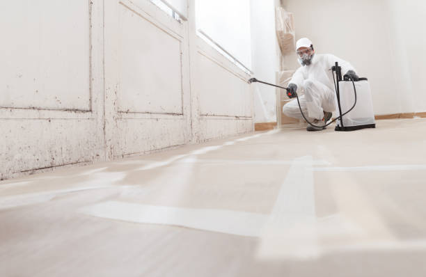 24/7 Emergency Basement Mold Remediation experts in Reedsville, PA